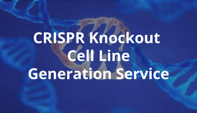 CRISPR Knockout Cell Line Genration Service